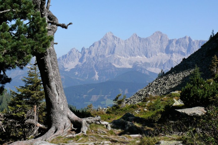 Blick auf den Dachstein