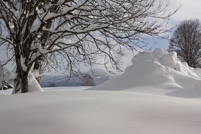 Winterlandschaft