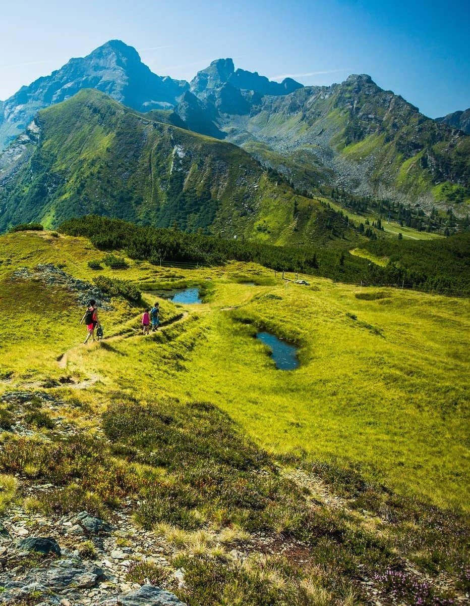 Wandern in der Region Schladming-Dachstein