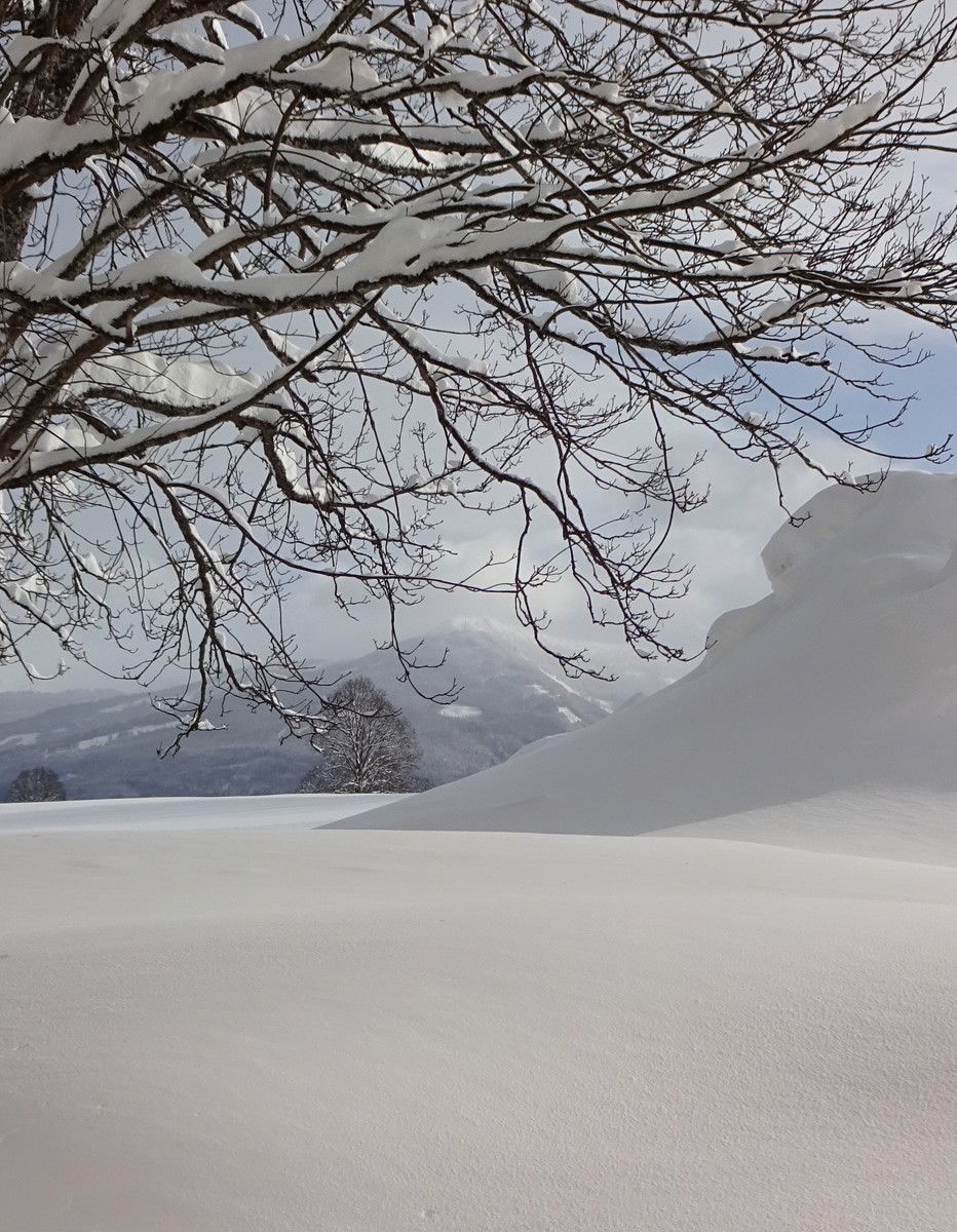 Winterwunderwelt in Ramsau am Dachstein