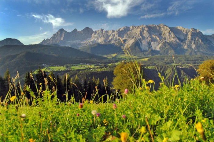 Gratis Sommerliftln rund um Ramsau am Dachstein