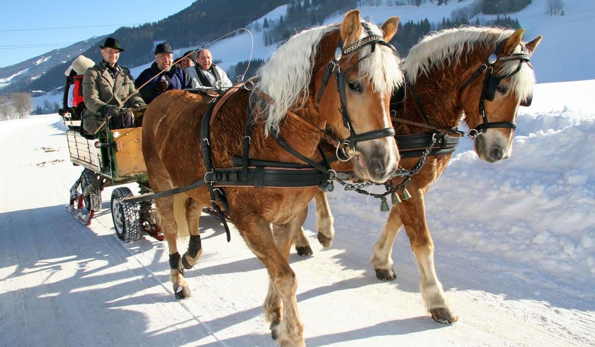 Romantische Pferdeschlittenfahrt